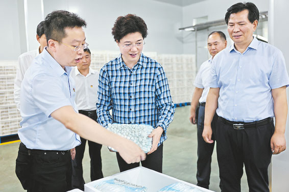 趙璟在山陽調研時強調:發展產業穩增收 抓好黨建促振興