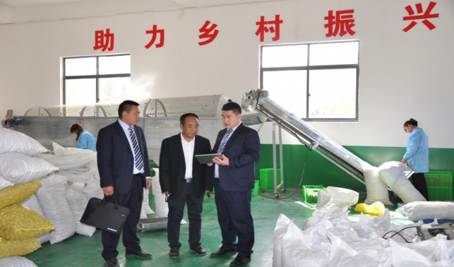 ?郵儲(chǔ)銀行商洛市分行：金融活水澆灌特色產(chǎn)業(yè) 譜寫鄉(xiāng)村振興新篇章