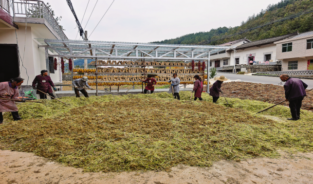 鎮安一家庭農場“釀”出綠色致富路
