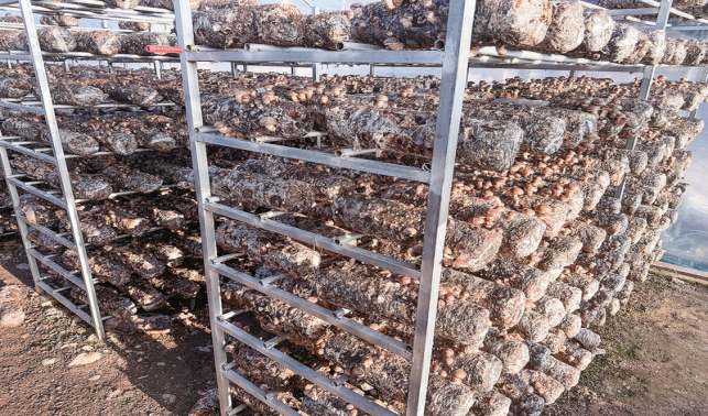 產業(yè)旺 人心齊 環(huán)境美