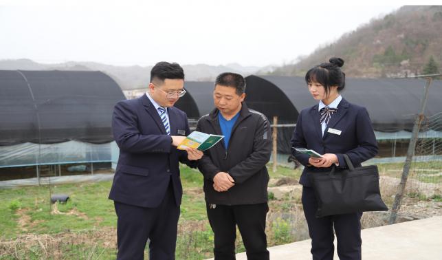 郵儲銀行商洛分行：“氣候價值貸”為鄉(xiāng)村全面振興注入“金融活水”