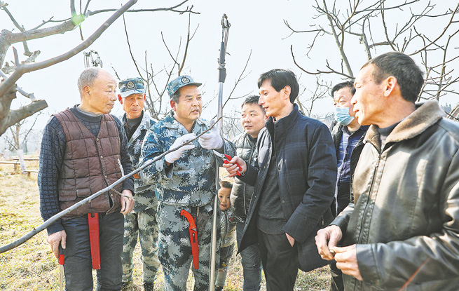 實施核桃科管 促進增產增收