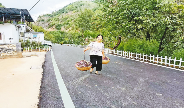 一條柏油路，串起果農(nóng)新生活