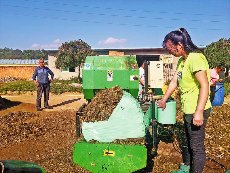 養?！翱ú弊印彪y題迎刃而解