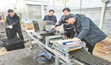 洛南 早春煙農忙 育苗寄希望