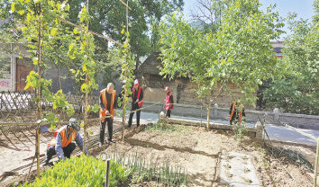 保安鎮 打造洛河岸邊新風貌