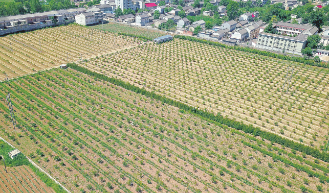創業不停步 追夢在路上