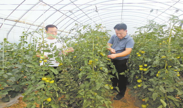 頭雁帶富領飛 發展活力倍增