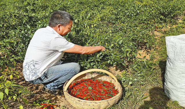 錨定“美麗永豐”新目標 奏響“一核四翼”振興曲