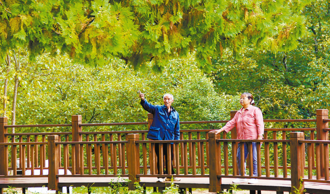 古樹長(zhǎng)青 守護(hù)常新