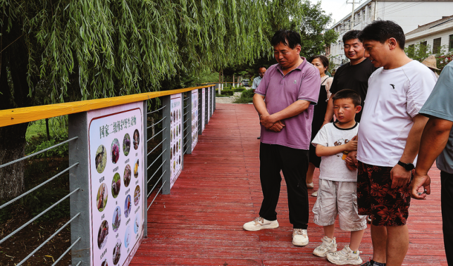 保護(hù)野生動物 共建和諧家園