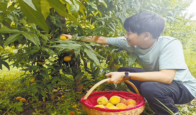 劉飛 桃園里的鄉村振興追夢人