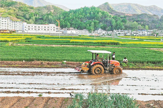 田野春潮涌 農(nóng)忙正當(dāng)時(shí)