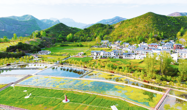 凝心聚力促發(fā)展 秦風(fēng)楚韻鋪畫(huà)卷