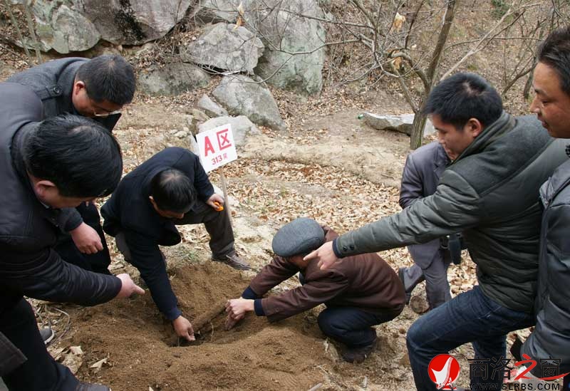 商南縣政府開展送政策、送技術、送溫暖活動