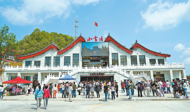 鎮安 實施“林業+”發展戰略 推進生態產品價值轉化