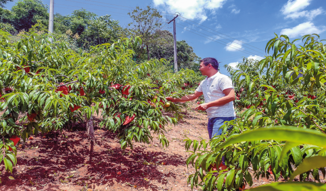 雙龍村 種養結合開辟致富新路徑